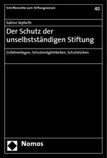 Der Schutz Der Unselbststandigen Stiftung: Gefahrenlagen, Schutzmoglichkeiten, Schutzlucken