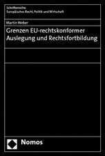 Grenzen Eu-Rechtskonformer Auslegung Und Rechtsfortbildung: Rechtsschutz Durch Aktionare Und Rechtsschutz Der Aktionare Aufgrund Rechtswidrigen Vorstandshandelns