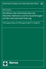 Die Reform des Sicherheitsrates der Vereinten Nationen und ihre Auswirkungen auf die internationale Ordnung