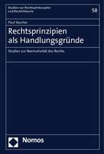 Rechtsprinzipien ALS Handlungsgrunde: Studien Zur Normativitat Des Rechts