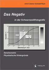 Das Negativ in der Schwarzweißfotografie