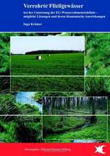 Verrohrte Fließgewässer bei der Umsetzung der EG-Wasserrahmenrichtlinie