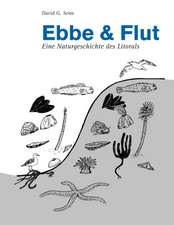 Ebbe und Flut