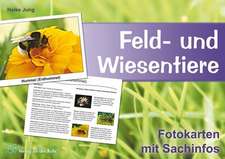 Feld- und Wiesentiere - Fotokarten mit Sachinfos