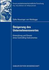 Steigerung des Unternehmenswertes: Entwicklung und Einsatz eines Controlling-Instrumentes