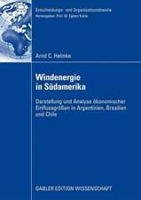 Windenergie in Südamerika: Darstellung und Analyse ökonomischer Einflussgrößen in Argentinien, Brasilien und Chile