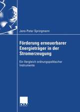 Förderung erneuerbarer Energieträger in der Stromerzeugung