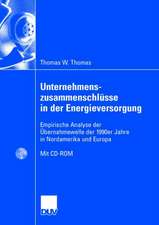 Unternehmenszusammenschlüsse in der Energieversorgung: Empirische Analyse der Übernahmewelle der 1990er Jahre in Nordamerika und Europa