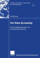 Fair Value Accounting: Zweckmäßigkeitsanalyse und konzeptioneller Rahmen