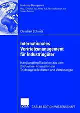 Internationales Vertriebsmanagement für Industriegüter: Handlungsimplikationen aus dem Blickwinkel internationaler Tochtergesellschaften und Vertretungen