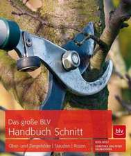 Das große BLV Handbuch Schnitt