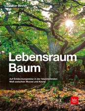 Lebensraum Baum