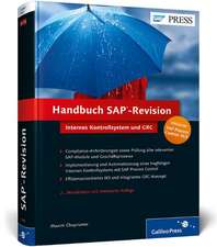 Handbuch SAP-Revision