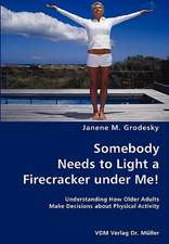 Somebody Needs to Light a Firecracker Under Me!- Understanding How Older Adults Make Decisions About Physical Activity