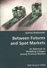 Between Futures and Spot Markets: An Approach to Modelling Linkages Among Financial Markets