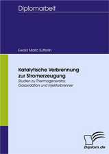 Katalytische Verbrennung Zur Stromerzeugung: Grundgedanken Uber Das Alterwerden Mit Geistiger Behinderung in Geschutzten Werkstatten