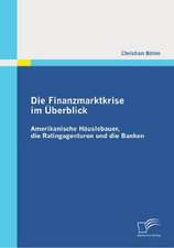 Die Finanzmarktkrise Im Berblick: Amerikanische H Uslebauer, Die Ratingagenturen Und Die Banken