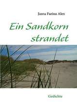 Ein Sandkorn Strandet: Schnellkurs Borsenhandel