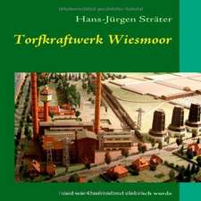 Torfkraftwerk Wiesmoor