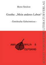 Goethe: Mein anderes Leben