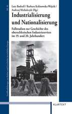 Industrialisierung und Nationalisierung