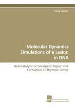 Molecular Dynamics Simulations of a Lesion in DNA