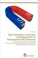 Spin Dynamics and Spin Configuration in Nanopatterned Elements