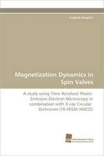 Magnetization Dynamics in Spin Valves