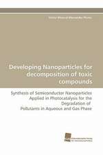 Developing Nanoparticles for Decomposition of Toxic Compounds: From Bulk to Heterostructures