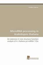 Microrna Processing in Arabidopsis Thaliana: From Bulk to Heterostructures