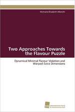 Two Approaches Towards the Flavour Puzzle