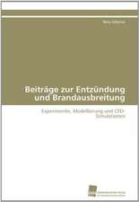 Beitrage Zur Entzundung Und Brandausbreitung: Verlaufsbeobachtung Nach Nierentransplantation