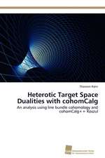 Heterotic Target Space Dualities with Cohomcalg: Measurement and Source Allocation