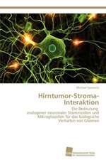 Hirntumor-Stroma-Interaktion