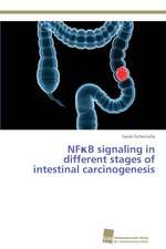 NF¿B signaling in different stages of intestinal carcinogenesis