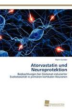 Atorvastatin Und Neuroprotektion: Measurement and Source Allocation