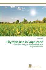 Phytoplasma in Sugarcane