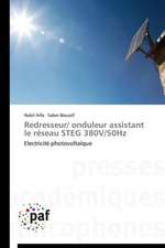 Redresseur/ onduleur assistant le réseau STEG 380V/50Hz