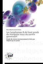 Les lymphomes B de haut grade de malignité issus du centre germinatif