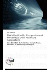 Modelisation Du Comportement Mécanique D¿un Matériau Agregataire