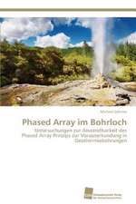 Phased Array im Bohrloch