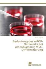 Bedeutung des mTOR-Netzwerks bei osteoblastärer MSC-Differenzierung