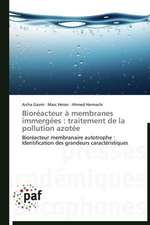 Bioréacteur à membranes immergées : traitement de la pollution azotée