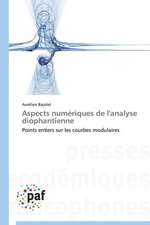 Aspects numériques de l'analyse diophantienne