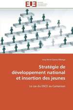 Strategie de Developpement National Et Insertion Des Jeunes: Enjeux Organisationnels Et Manageriaux