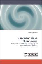 Nonlinear Wake Phenomena