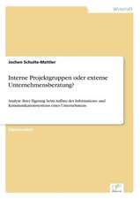 Interne Projektgruppen oder externe Unternehmensberatung?