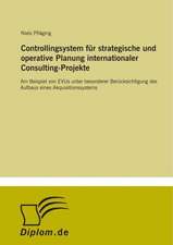 Controllingsystem für strategische und operative Planung internationaler Consulting-Projekte