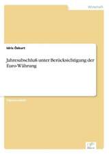 Jahresabschluß unter Berücksichtigung der Euro-Währung