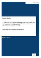 Auswahl und Bewertung von Software für operatives Controlling